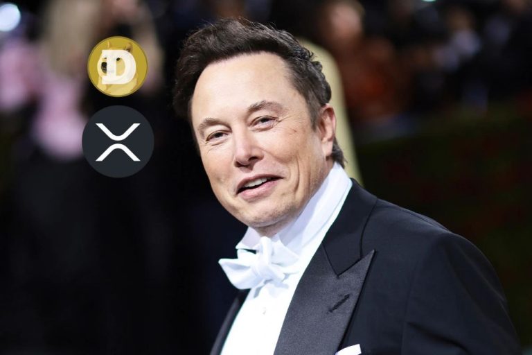 Recent Developments: Elon Musk And Dogecoin