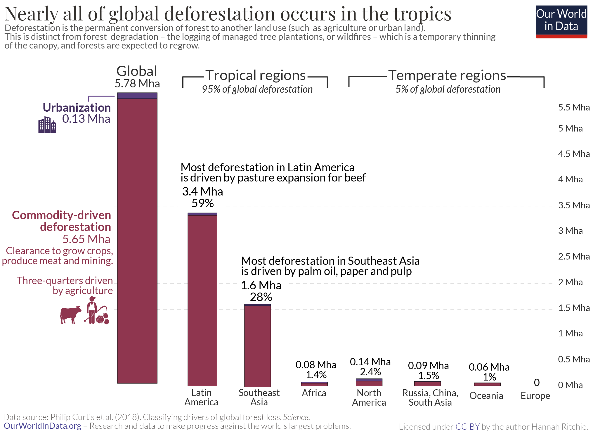 Record-Breaking Forest Loss: Wildfires Intensify Global Deforestation Record-Breaking Forest Loss: Wildfires Intensify Global Deforestation