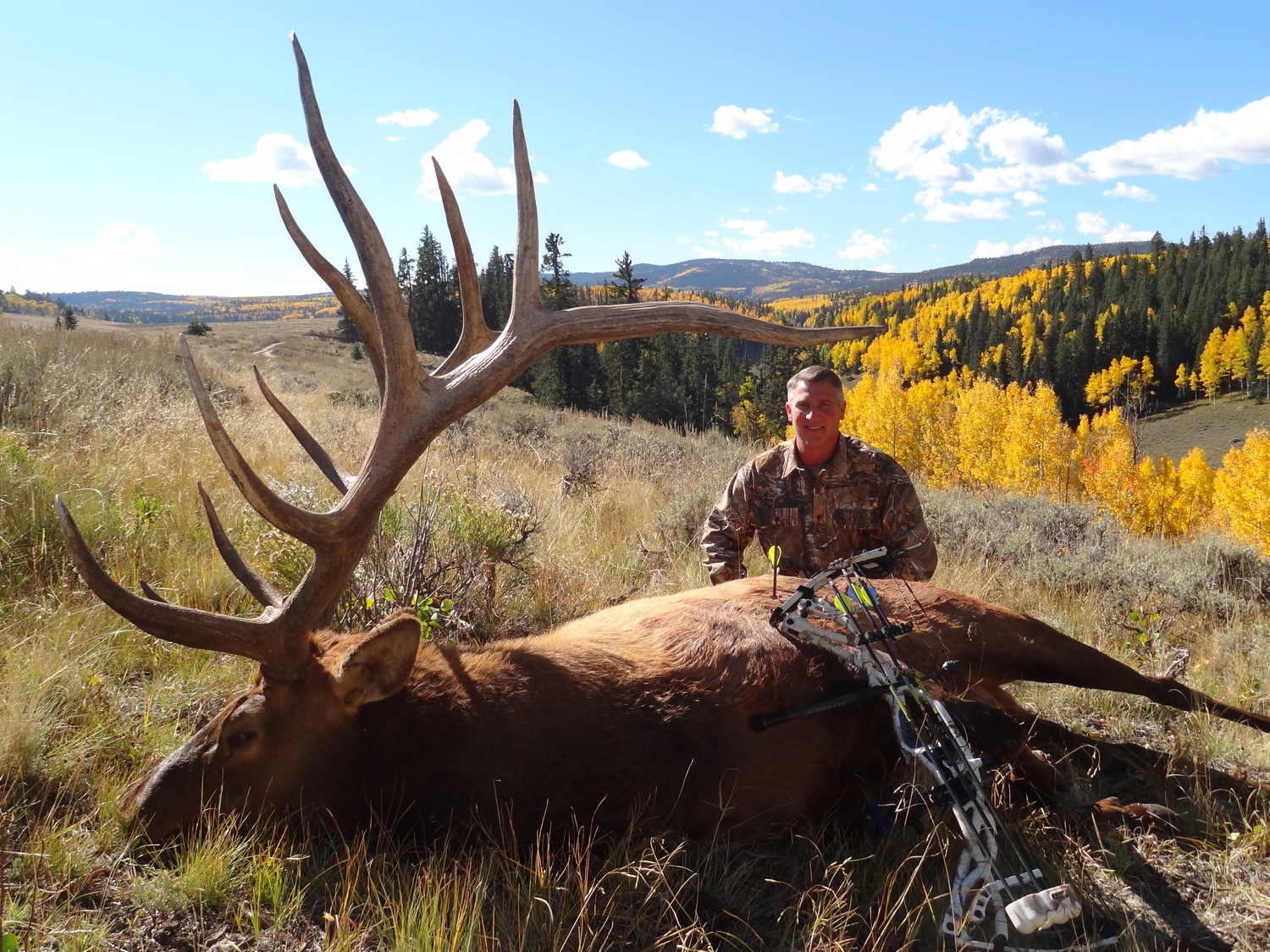Reduced Jackson Elk Hunting Season: Public Comments Lead To Changes Reduced Jackson Elk Hunting Season: Public Comments Lead To Changes