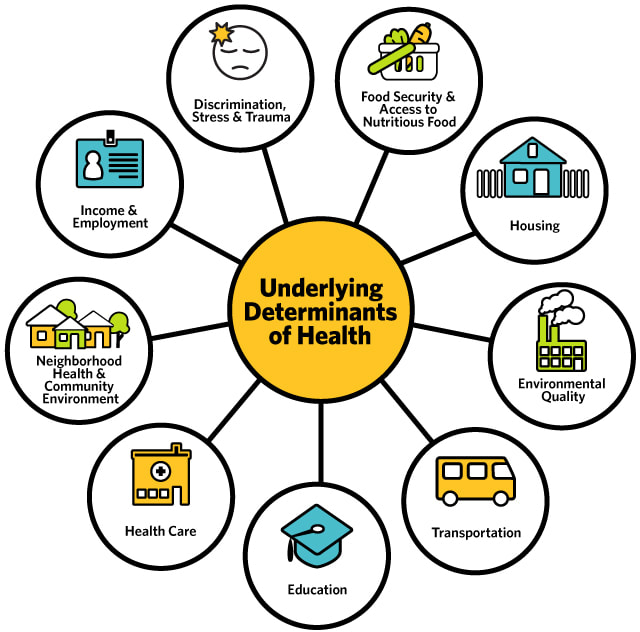 Reform UK: Five Factors Contributing To Its Current Difficulties Reform UK: Five Factors Contributing To Its Current Difficulties