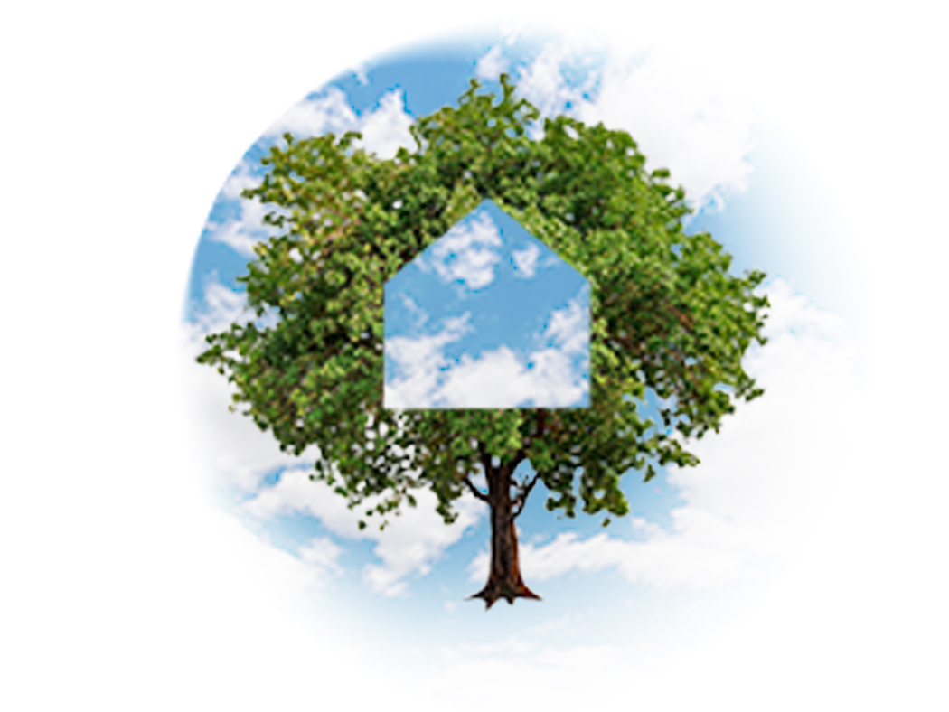Rethinking Middle Management: Their Vital Contribution To Organizational Success Rethinking Middle Management: Their Vital Contribution To Organizational Success