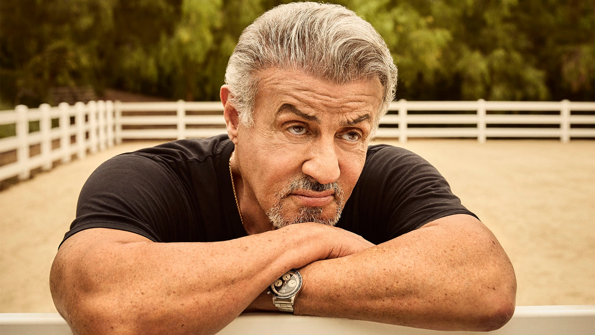 Revisitando A Adaptação Em Quadrinhos De Sylvester Stallone: Uma Avaliação Revisitando A Adaptação Em Quadrinhos De Sylvester Stallone: Uma Avaliação