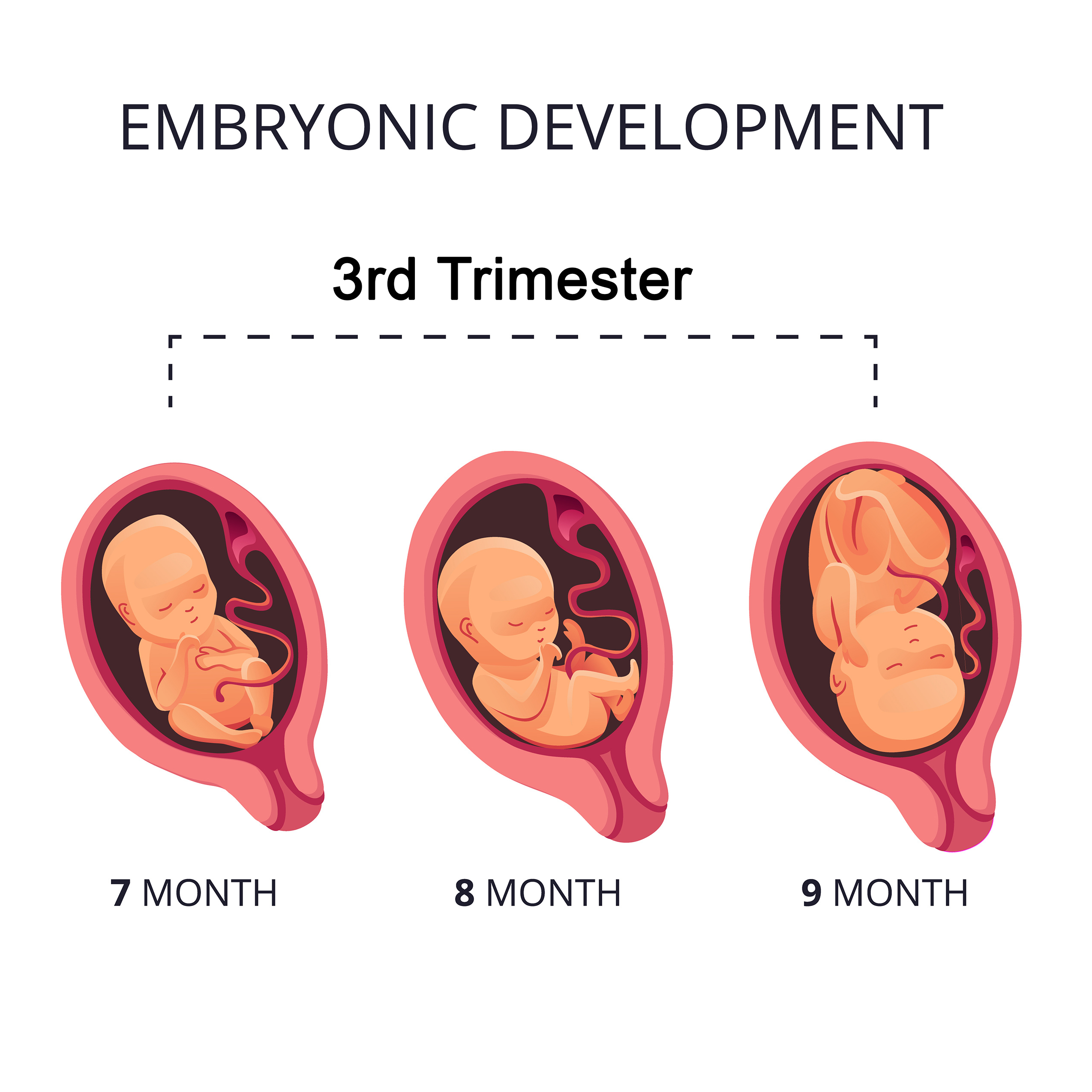Rihanna Expecting: Details On Her Third Pregnancy Rihanna Expecting: Details On Her Third Pregnancy