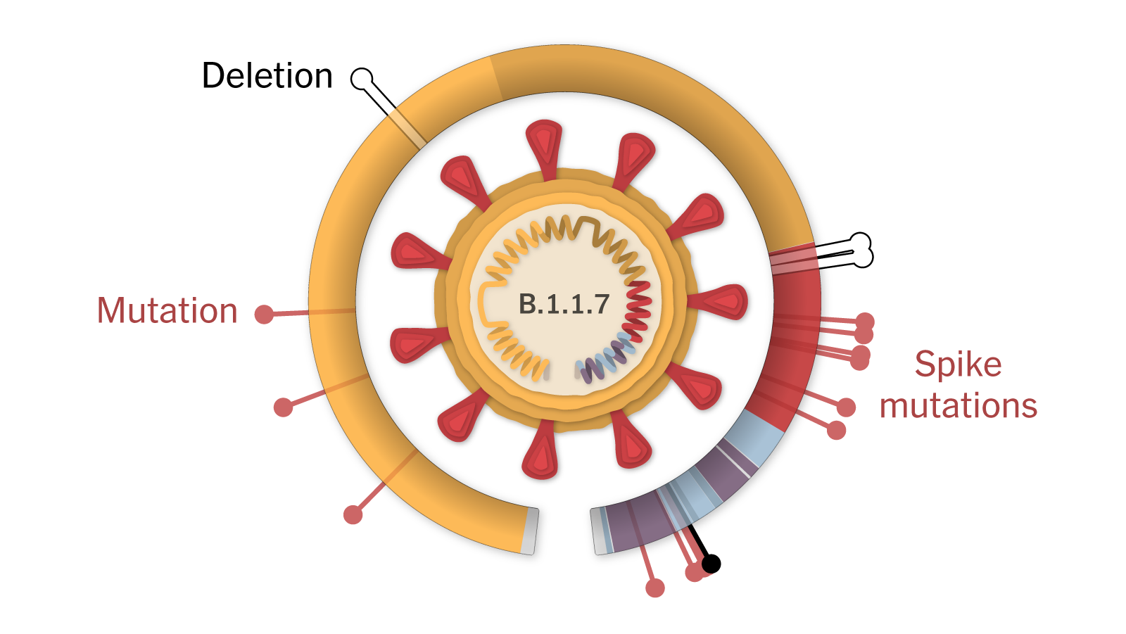Rising COVID-19 Cases: A New Variant Emerges, WHO Reports Rising COVID-19 Cases: A New Variant Emerges, WHO Reports
