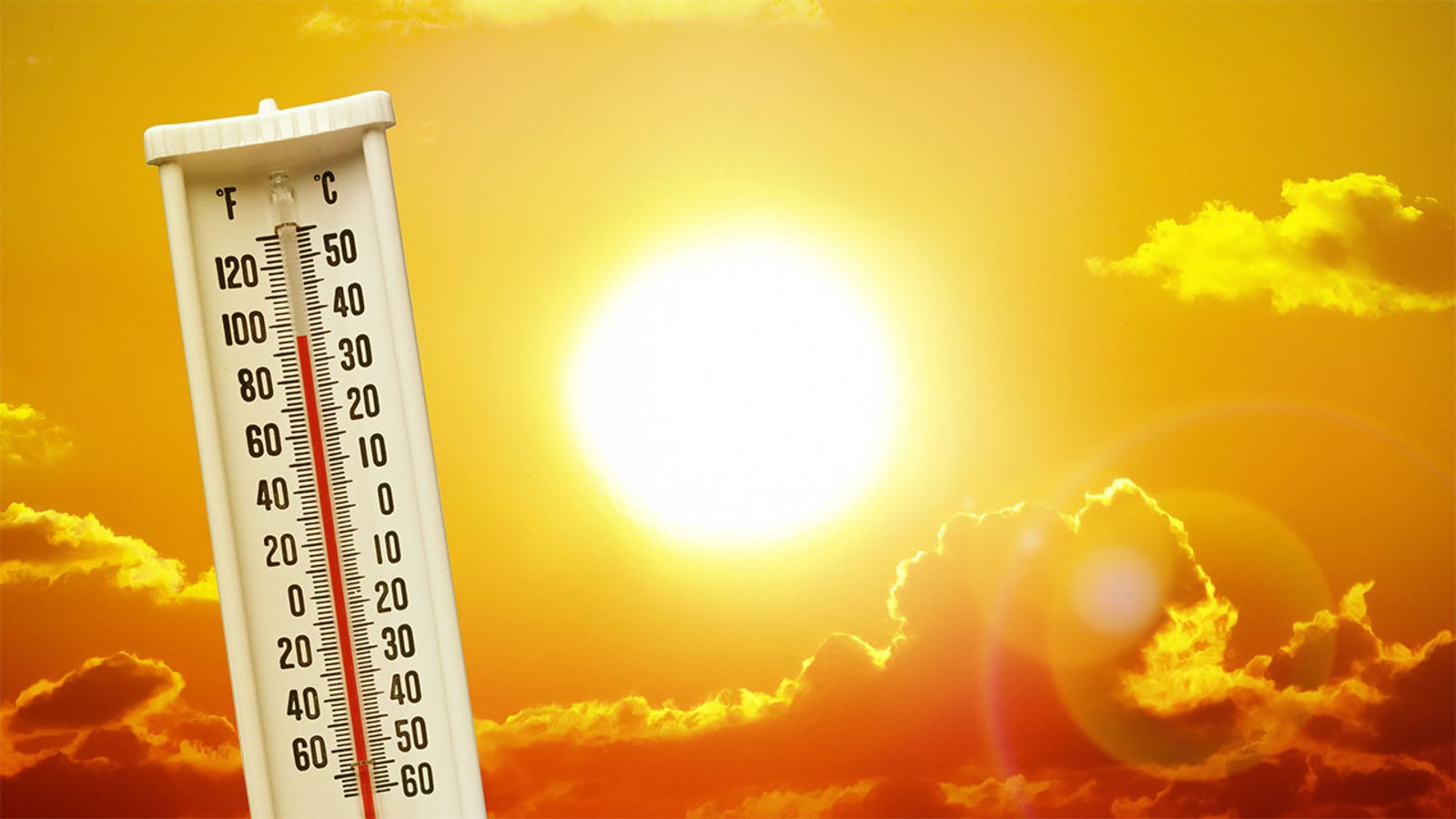 Rising Temperatures In Kolkata: March Weather Update And Heatwave Advisory Rising Temperatures In Kolkata: March Weather Update And Heatwave Advisory