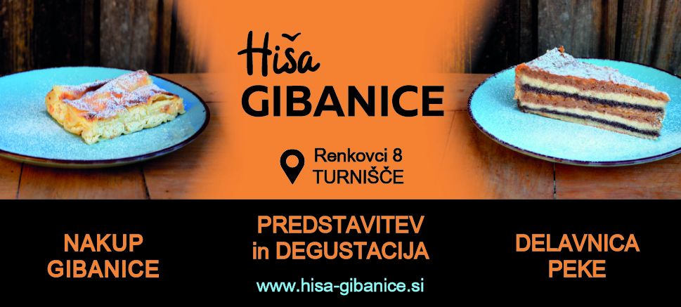 Romska Glasba V Prekmurju: Tradicija Muzikantov Romska Glasba V Prekmurju: Tradicija Muzikantov