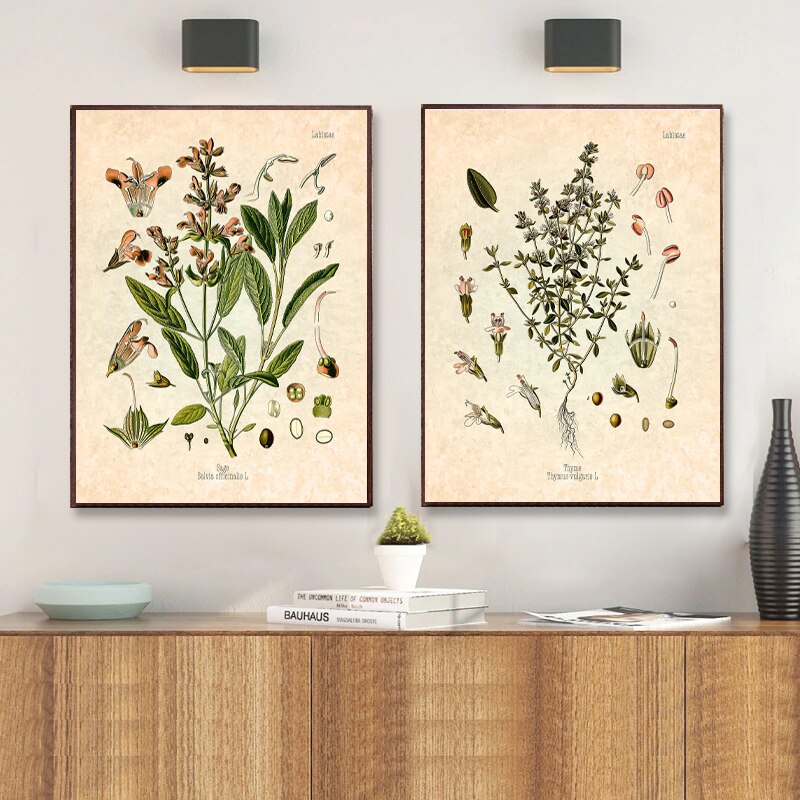 Rosemary & Thyme: A Culinary Herb Guide Rosemary & Thyme: A Culinary Herb Guide