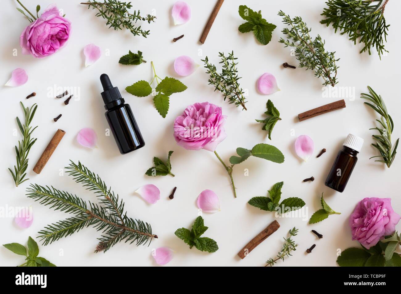 Rosemary & Thyme Essential Oils: Aromatherapy And More Rosemary & Thyme Essential Oils: Aromatherapy And More