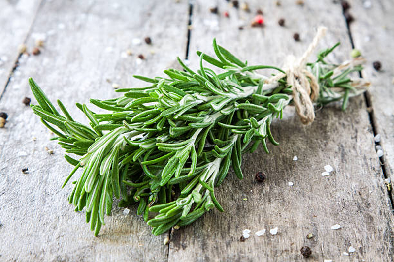 Rosemary & Thyme: Health Benefits And Nutritional Information Rosemary & Thyme: Health Benefits And Nutritional Information