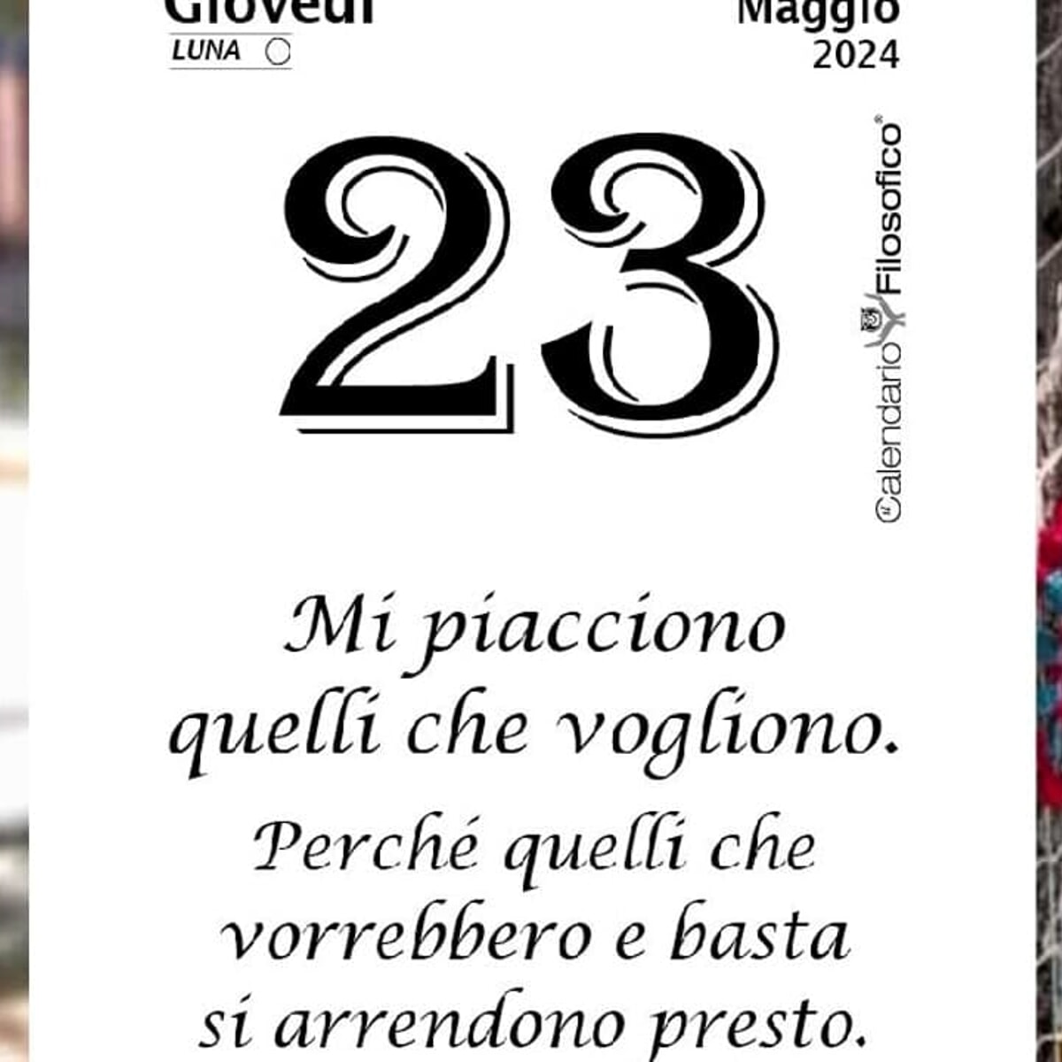 Sabato 8 Marzo: Almanacco Della Giornata, Compleanni E Proverbio Sabato 8 Marzo: Almanacco Della Giornata, Compleanni E Proverbio