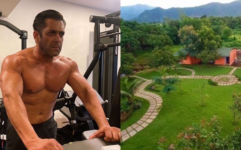 Salman Khan's ₹2 Crore Film: A Career-Ending Disaster For Director And Actress Salman Khan's ₹2 Crore Film: A Career-Ending Disaster For Director And Actress