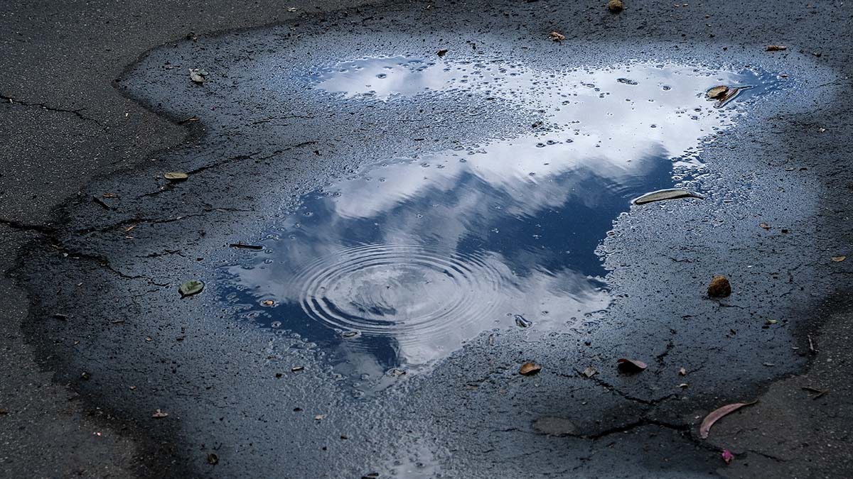 San Diego County Weather: Fog, Cooler Temperatures, And Possible Showers San Diego County Weather: Fog, Cooler Temperatures, And Possible Showers