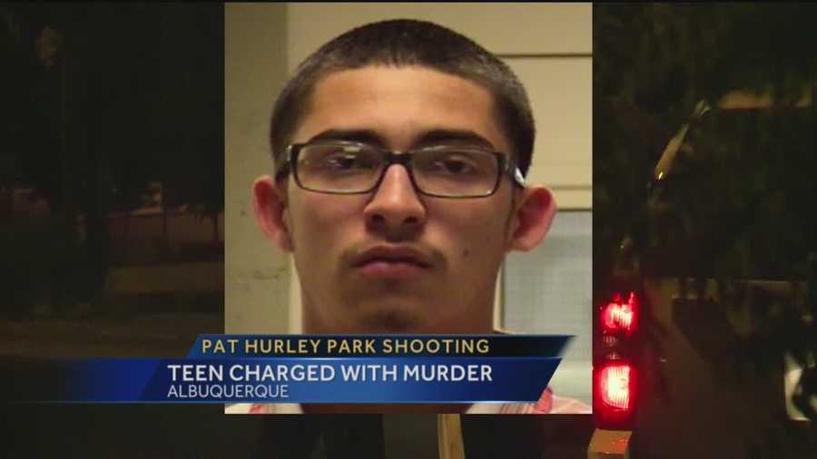 Seattle Park Shooting: Second Suspect Apprehended Seattle Park Shooting: Second Suspect Apprehended