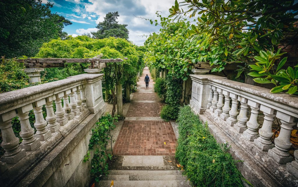 Seattle's Green Spaces: A Sanctuary During The Early Pandemic Seattle's Green Spaces: A Sanctuary During The Early Pandemic