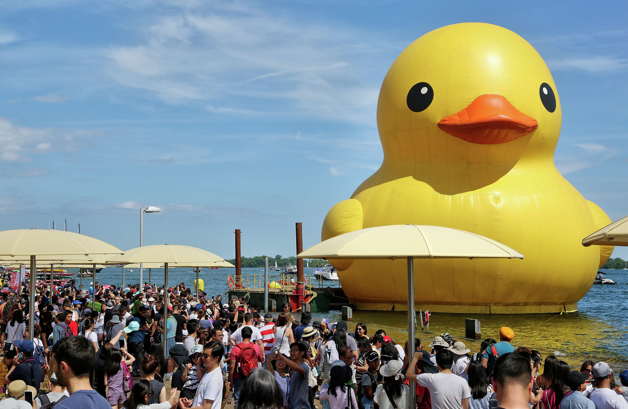See The World's Largest Rubber Duck & Learn Water Safety In Myrtle Beach See The World's Largest Rubber Duck & Learn Water Safety In Myrtle Beach