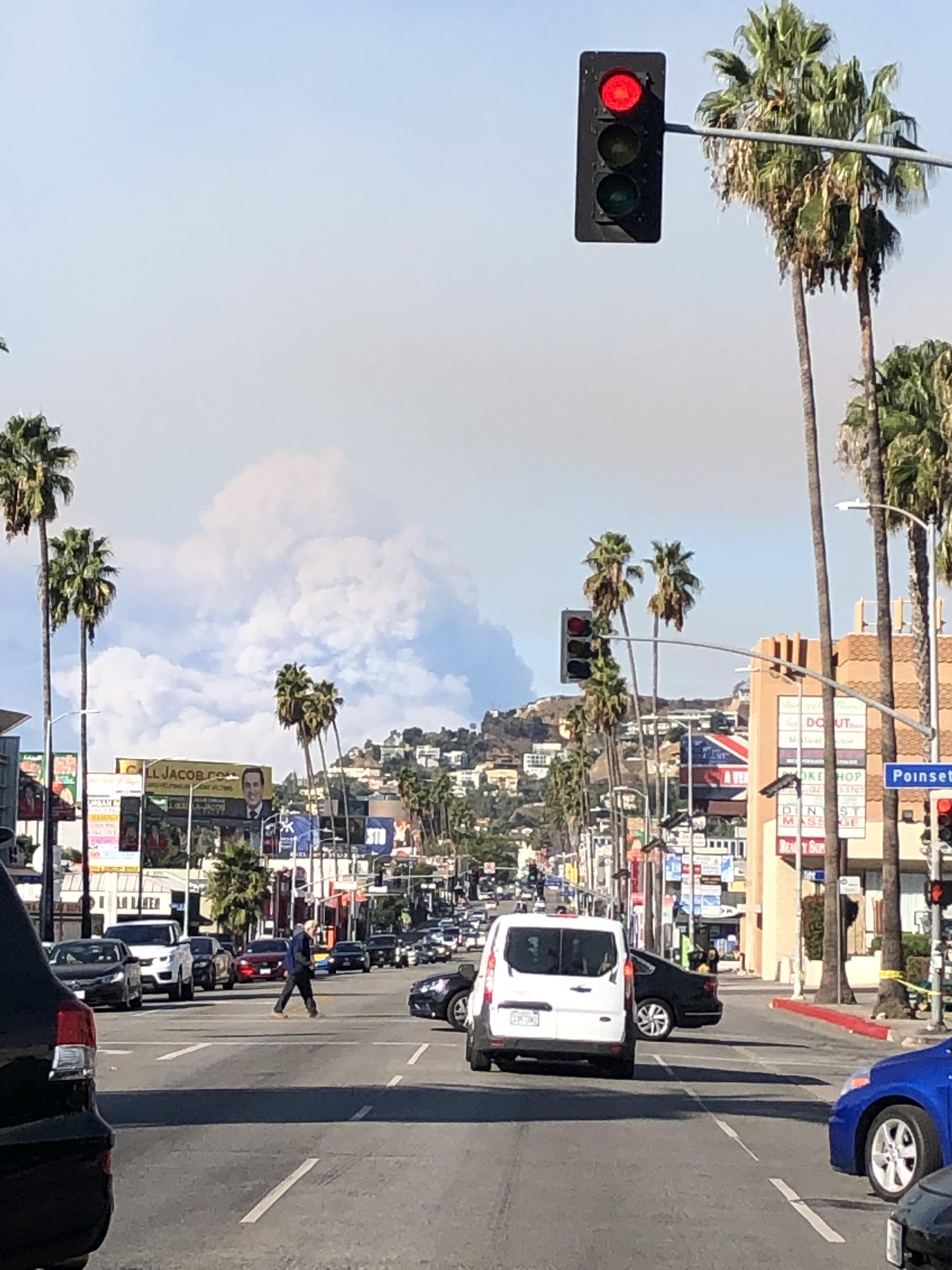 'Selling Sunset' Star Highlights Landlord Price Gouging Following LA Fires 'Selling Sunset' Star Highlights Landlord Price Gouging Following LA Fires