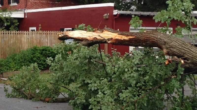 Severe Weather In The Susquehanna Valley: Understanding Storm Damage And Its Effects Severe Weather In The Susquehanna Valley: Understanding Storm Damage And Its Effects