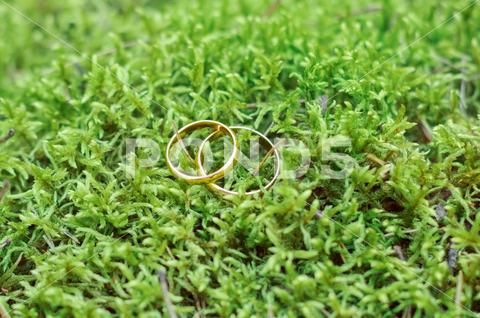Smart Rings And Fidelity: Would You Wear One? Smart Rings And Fidelity: Would You Wear One?