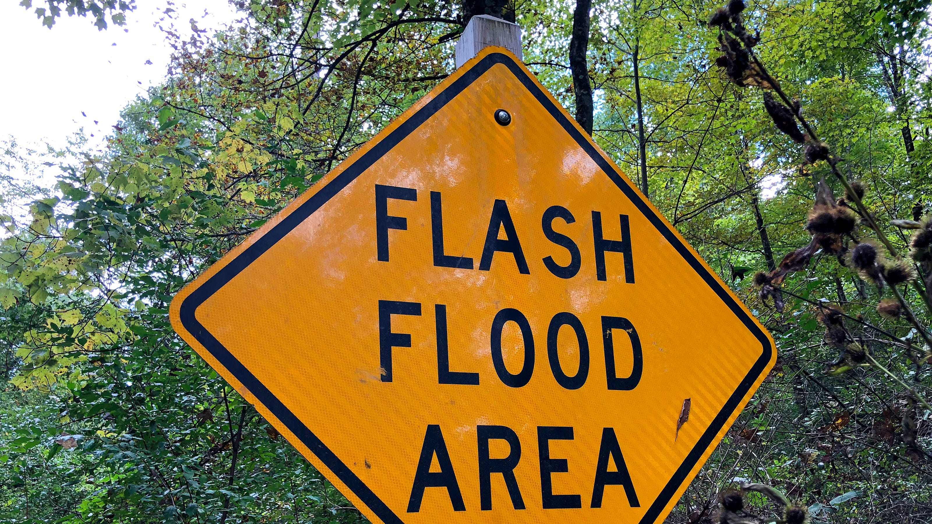 South Florida On High Alert: Flash Flood Warning In Effect South Florida On High Alert: Flash Flood Warning In Effect
