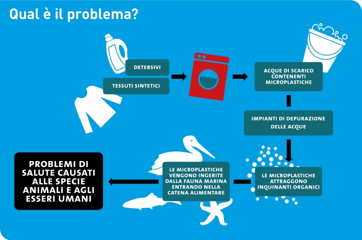 Studio Sulla Distribuzione Delle Microplastiche Nelle Acque Studio Sulla Distribuzione Delle Microplastiche Nelle Acque