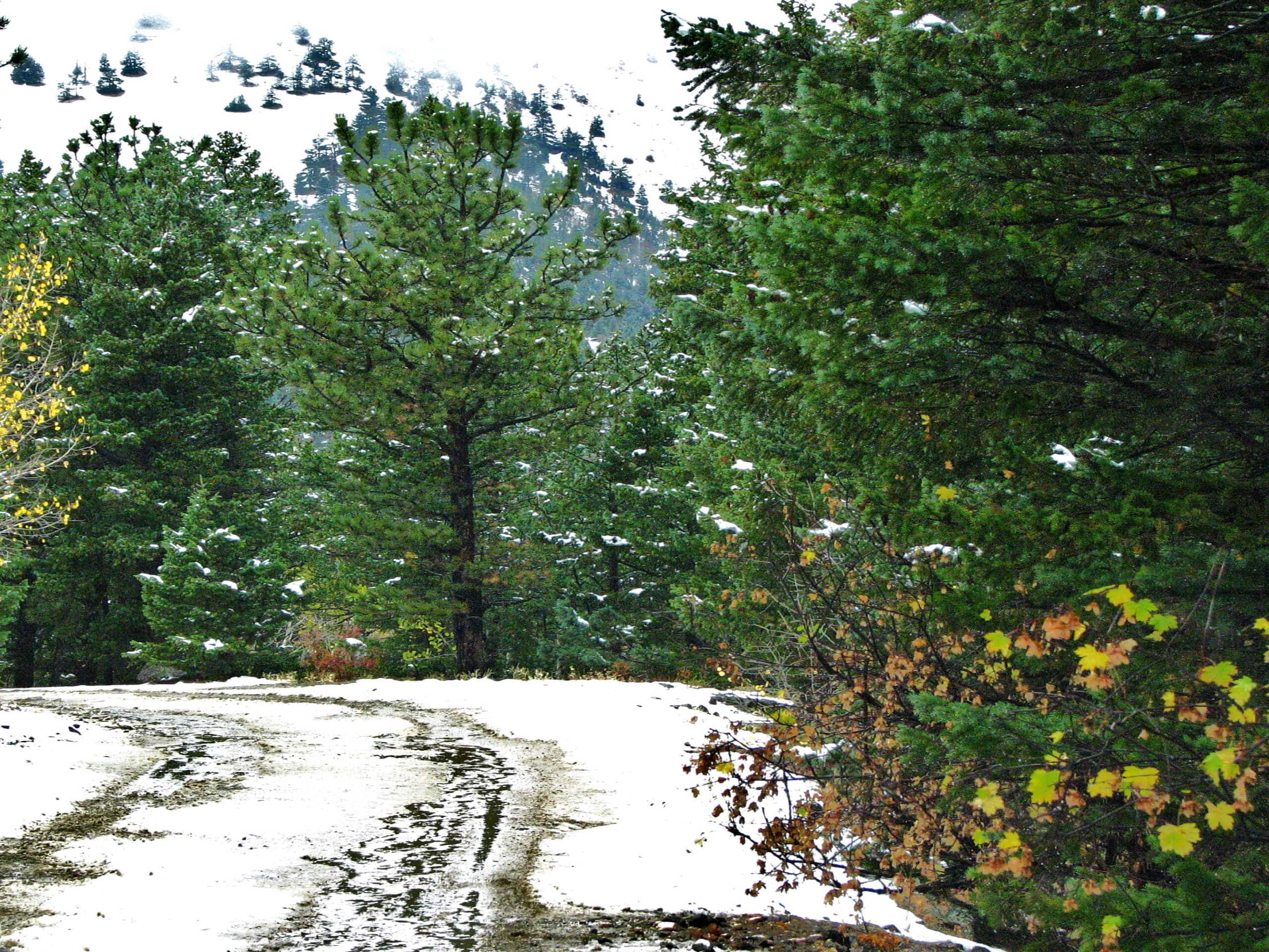 Switzerland Trail, Boulder County: History, Hiking, And Mining Legacy Switzerland Trail, Boulder County: History, Hiking, And Mining Legacy