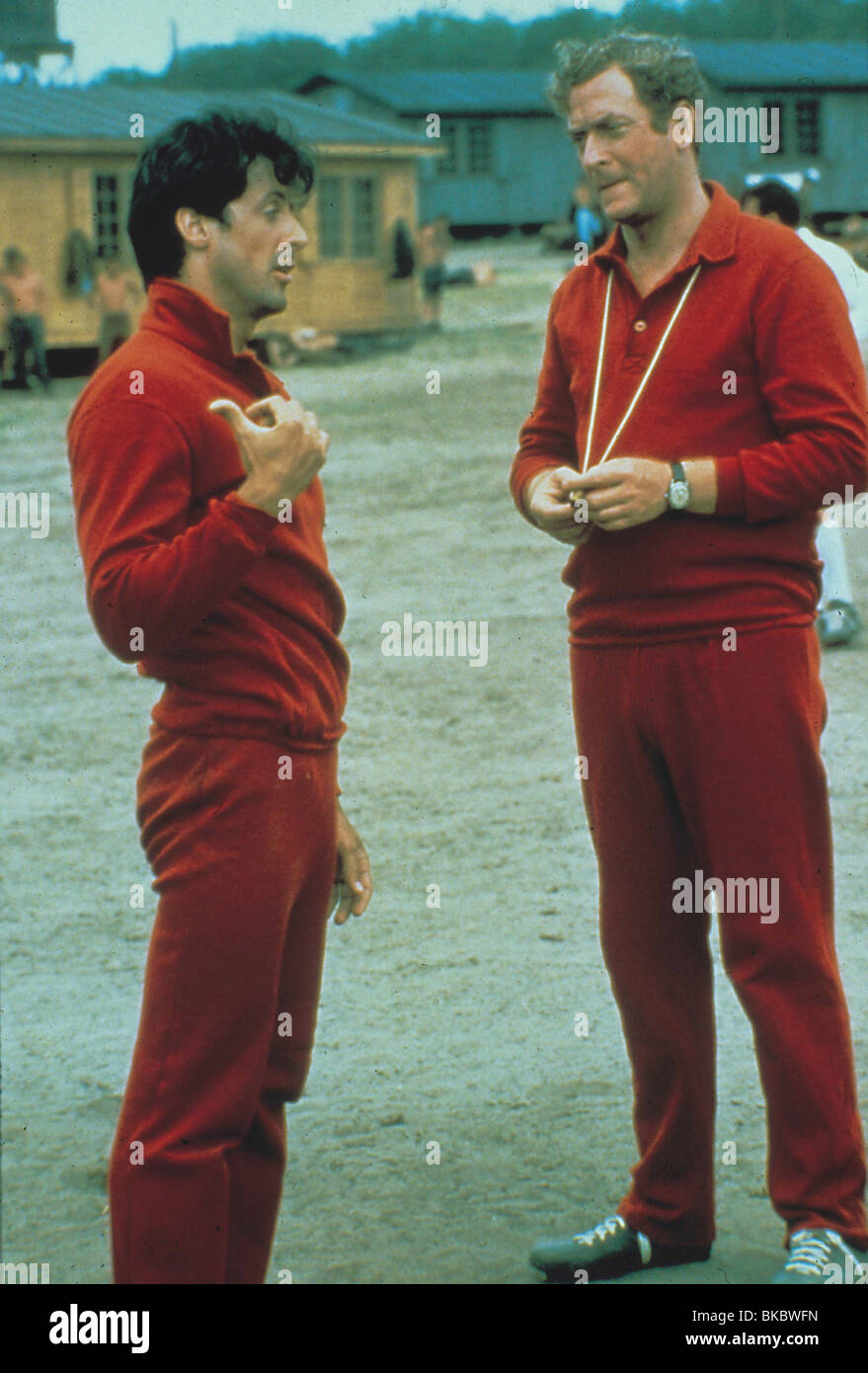 Sylvester Stallone And Michael Caine: A Study Of Contrasting Film Roles Sylvester Stallone And Michael Caine: A Study Of Contrasting Film Roles