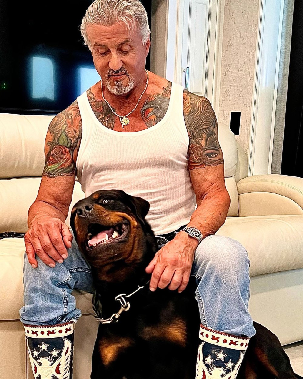 Sylvester Stallone Et L'art : Une Rencontre Inoubliable Sylvester Stallone Et L'art : Une Rencontre Inoubliable