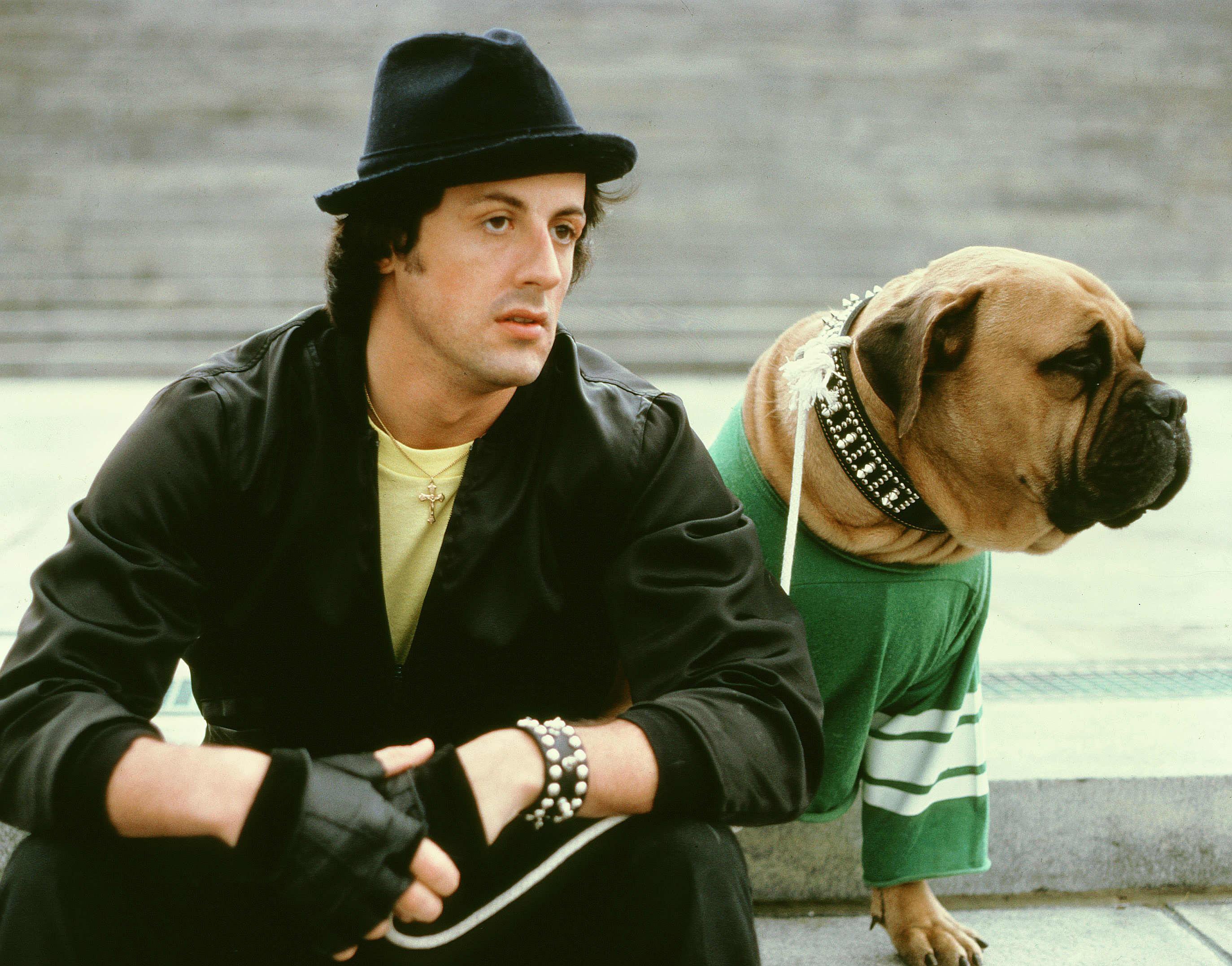 Sylvester Stallone Picks His Most Moving Rocky Film Sylvester Stallone Picks His Most Moving Rocky Film