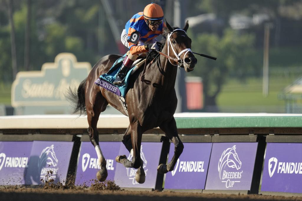 Tampa Bay Derby 2025: A Comprehensive Look At The Odds, Field, And Kentucky Derby Prospects Tampa Bay Derby 2025: A Comprehensive Look At The Odds, Field, And Kentucky Derby Prospects