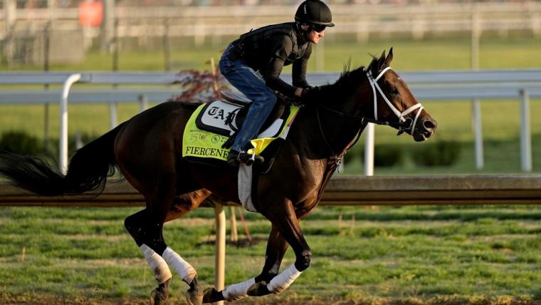 Tampa Bay Derby Odds 2025: Expert Picks And Analysis For The Road To Kentucky Derby Tampa Bay Derby Odds 2025: Expert Picks And Analysis For The Road To Kentucky Derby