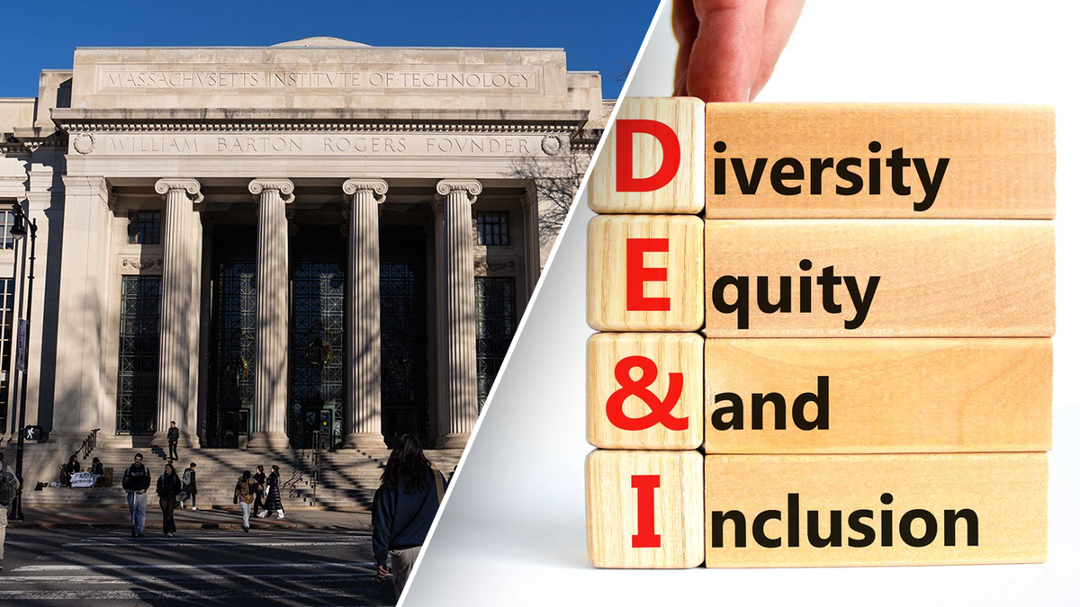Target's DEI Initiatives: A Change In Strategy And Public Perception Target's DEI Initiatives: A Change In Strategy And Public Perception