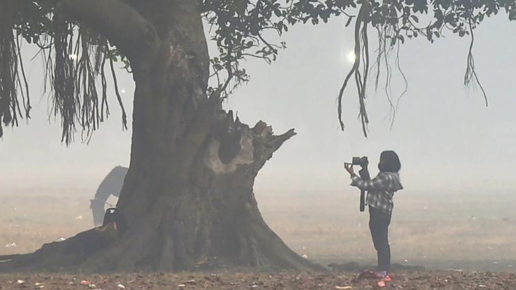 Temperature Plunge In West Bengal: Current Weather Update And Advisory Temperature Plunge In West Bengal: Current Weather Update And Advisory