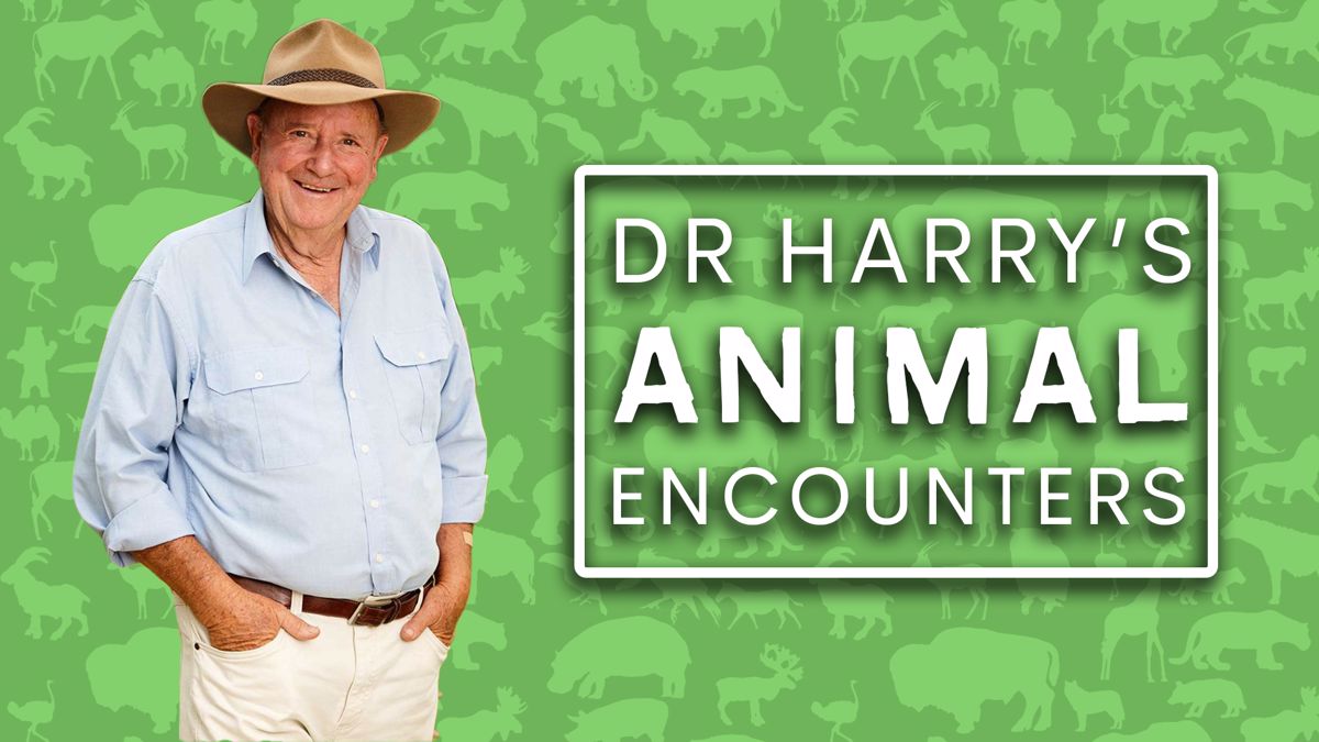 The Carrie Snub And More: Exploring Boris Johnson's Animal Encounters The Carrie Snub And More: Exploring Boris Johnson's Animal Encounters