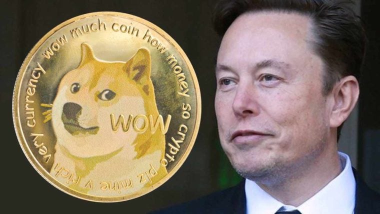The Elon Musk Dogecoin Effect: A Reality Check