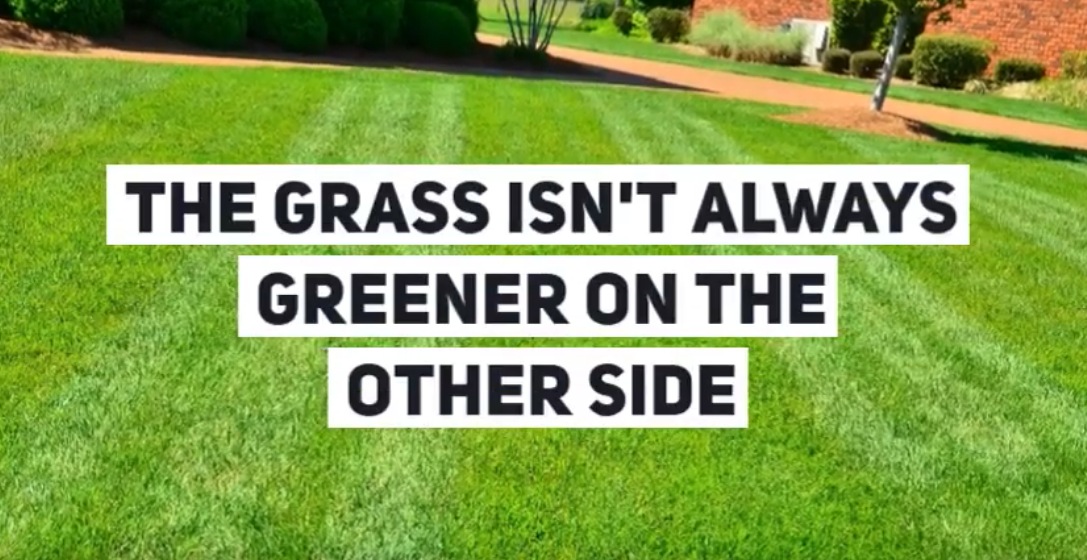 The Grass Isn't Always Greener: A Comparison Of Life In California And Germany The Grass Isn't Always Greener: A Comparison Of Life In California And Germany
