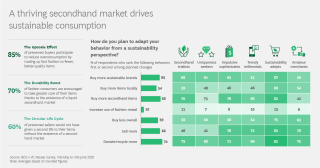 The Growing Popularity Of Secondhand Goods The Growing Popularity Of Secondhand Goods
