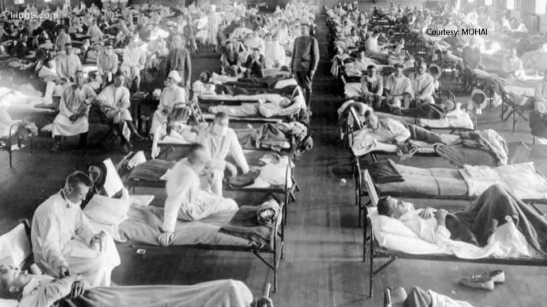 The Importance Of Urban Green Spaces: Lessons From The Early Pandemic In Seattle The Importance Of Urban Green Spaces: Lessons From The Early Pandemic In Seattle