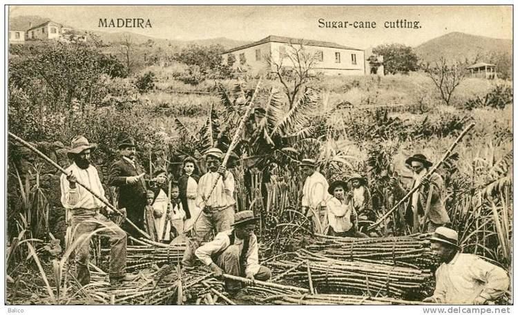 The Paradox Of Portuguese Immigration: Increased Arrivals, Increased Expulsions The Paradox Of Portuguese Immigration: Increased Arrivals, Increased Expulsions