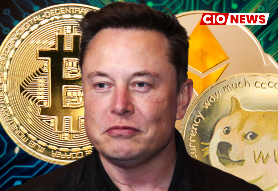 The Truth About Elon Musk And His Dogecoin Investments The Truth About Elon Musk And His Dogecoin Investments