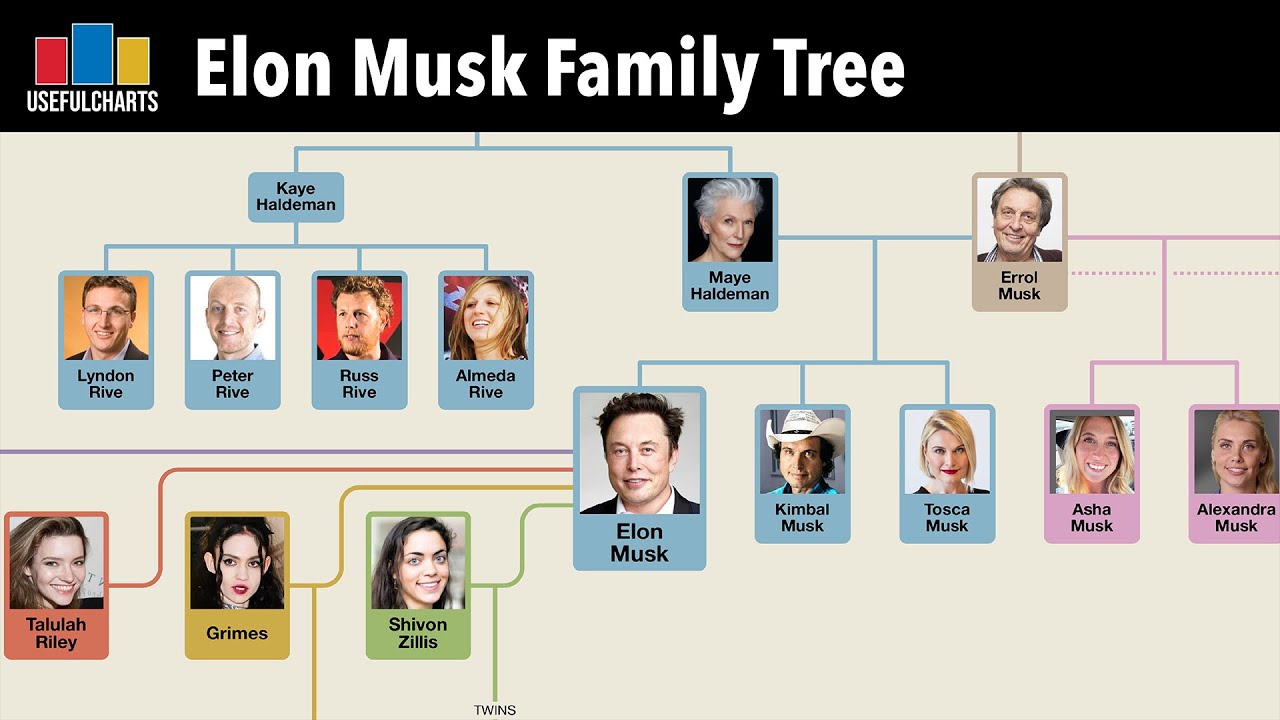 The Truth About Elon Musk's Family Fortune: A Look At Maye Musk's Account The Truth About Elon Musk's Family Fortune: A Look At Maye Musk's Account