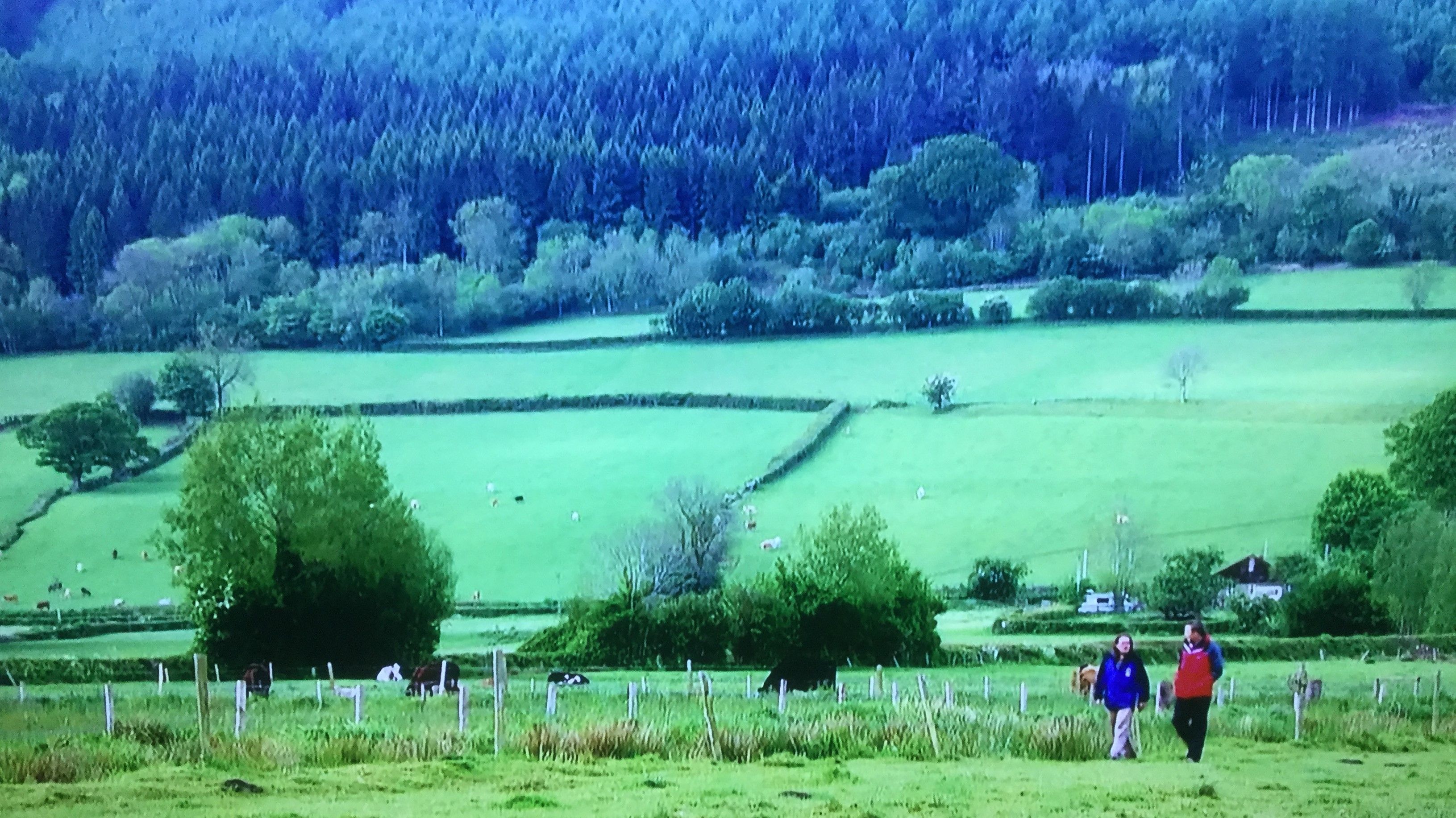 The Ultimate Guide To An Escape To The Country Lifestyle The Ultimate Guide To An Escape To The Country Lifestyle
