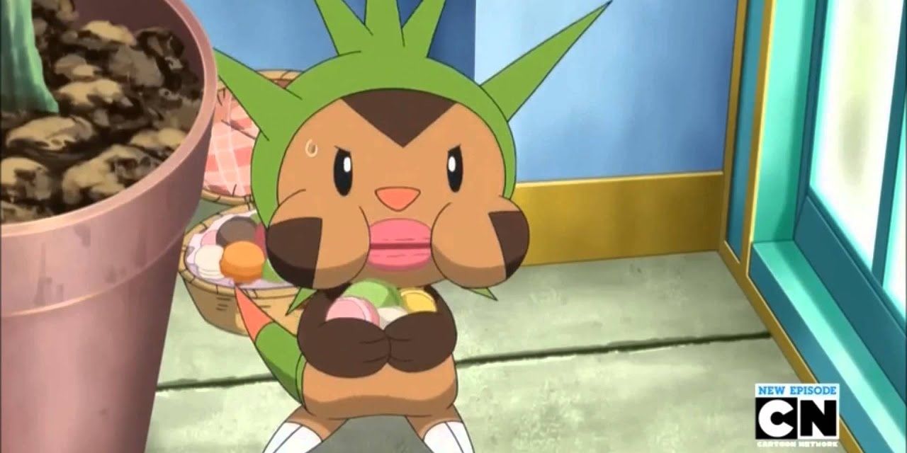The Ultimate Guide To Choosing The Best Grass Starter Pokémon The Ultimate Guide To Choosing The Best Grass Starter Pokémon