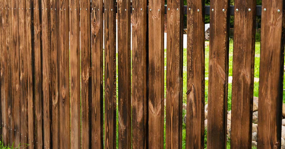 The Ultimate Guide To Living Fence Installation The Ultimate Guide To Living Fence Installation