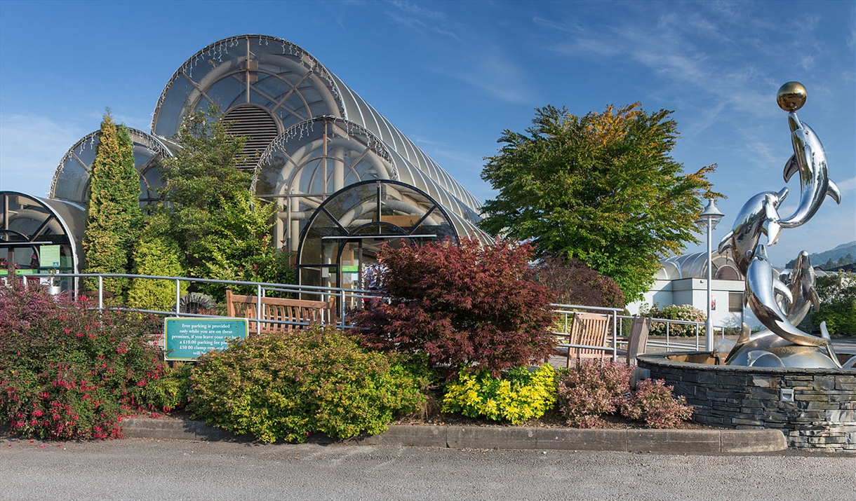 Theft At Hayes Garden World: Investigation Leads To Ambleside Couple Theft At Hayes Garden World: Investigation Leads To Ambleside Couple