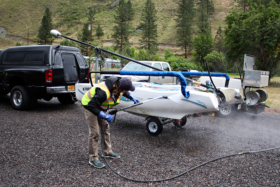 Thousands Of Zebra Mussels Found On Casper Boat Lift Thousands Of Zebra Mussels Found On Casper Boat Lift