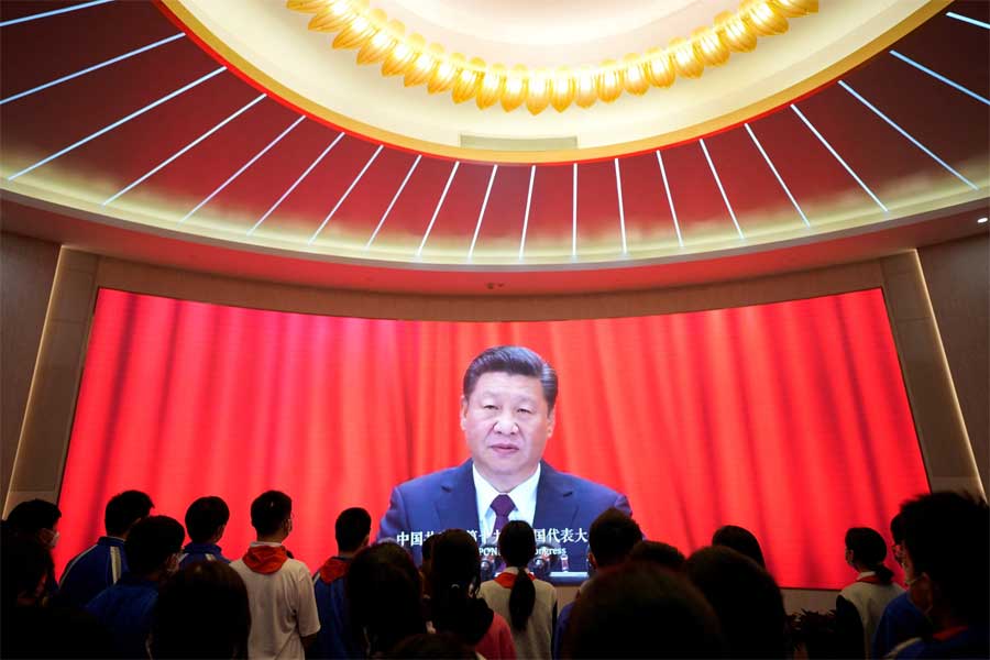 Tres Toros Uruguayos Rumbo A China: Un Regalo Presidencial Para Xi Jinping Tres Toros Uruguayos Rumbo A China: Un Regalo Presidencial Para Xi Jinping