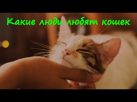 Триллеры И Рефлексия: Почему Люди Любят Щекотать Нервы? Триллеры И Рефлексия: Почему Люди Любят Щекотать Нервы?