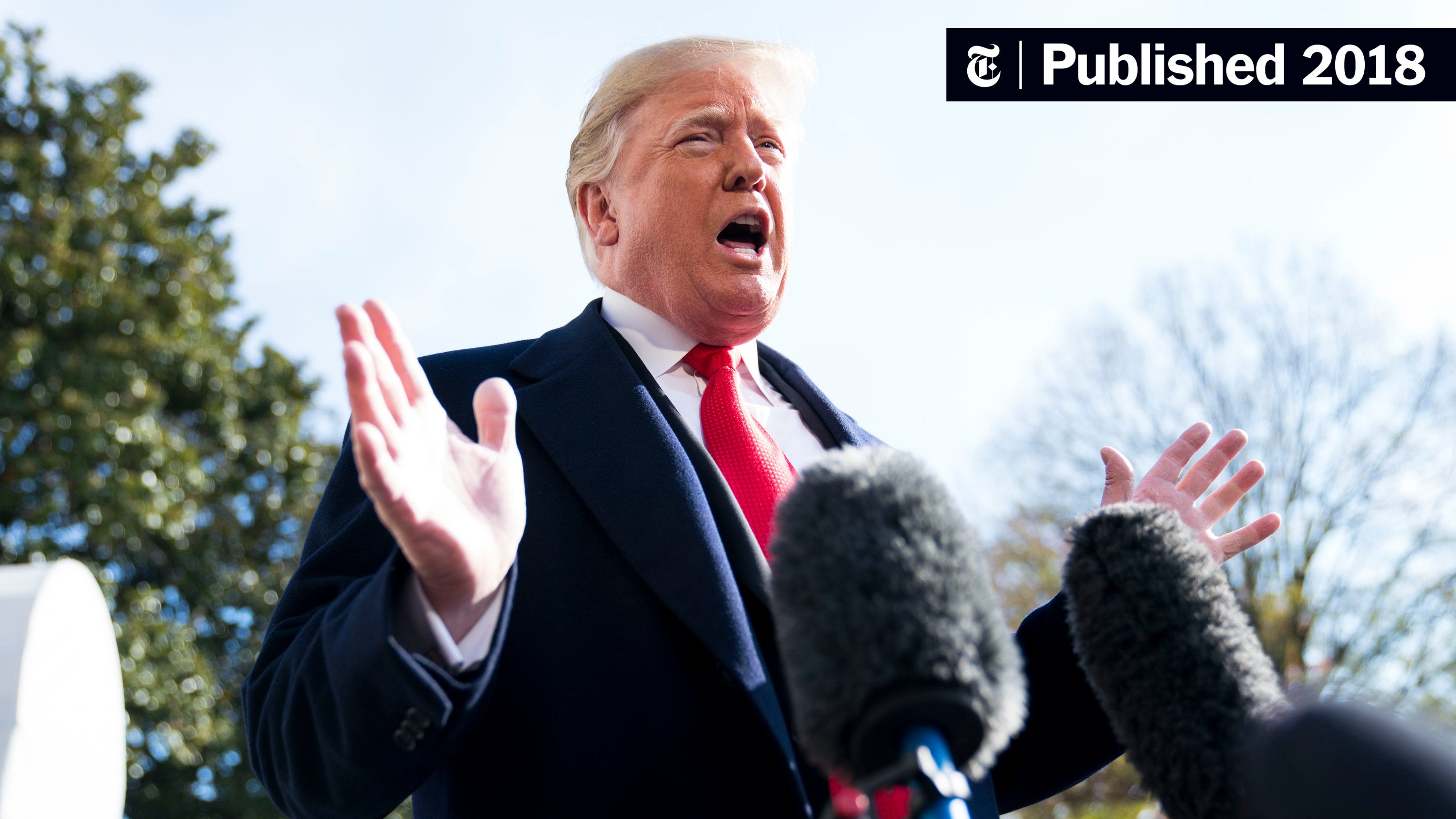 Trump-Putin Call Planned Amid Russia's Hesitation On Ukraine Deal Trump-Putin Call Planned Amid Russia's Hesitation On Ukraine Deal