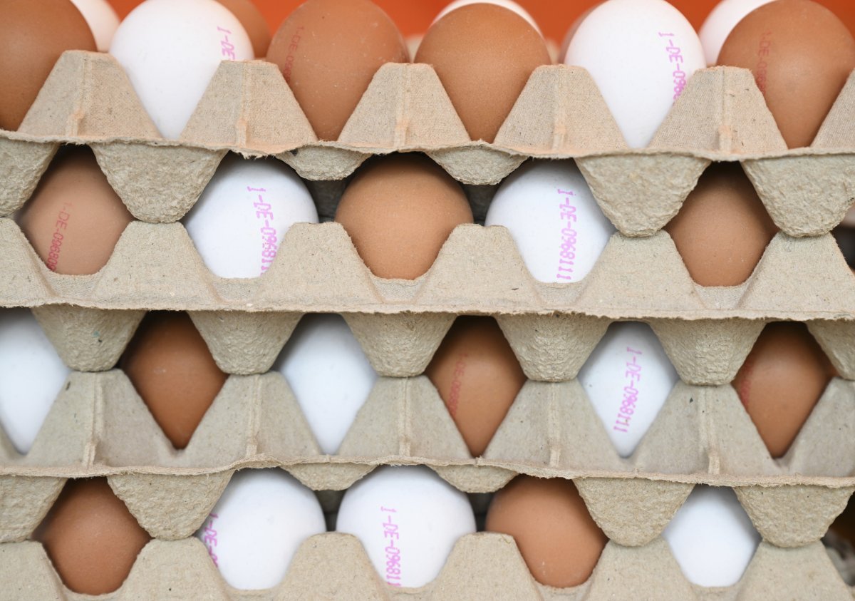 Trump's Egg Price Prophecy: A Current Assessment Trump's Egg Price Prophecy: A Current Assessment