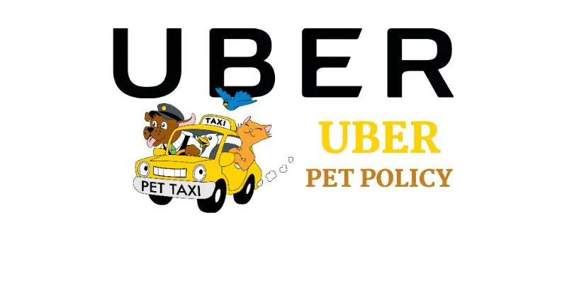 Uber Pet Policy Mumbai: How To Travel With Your Pet Uber Pet Policy Mumbai: How To Travel With Your Pet